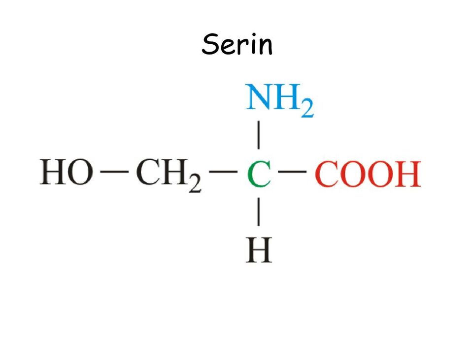 serina parada demasiado